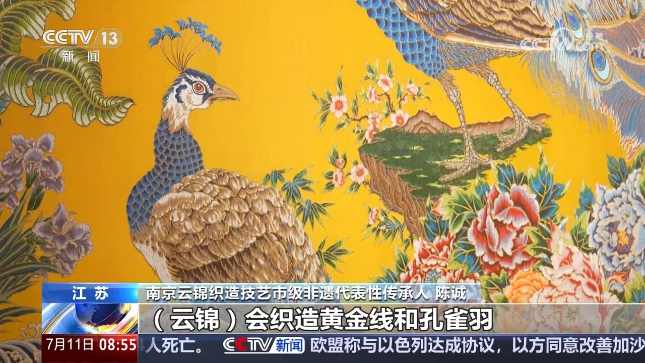 的宋代风雅揭开沉睡700多年的时尚密码冰球突破豪华版手机版从传统丝织工艺中(图6)