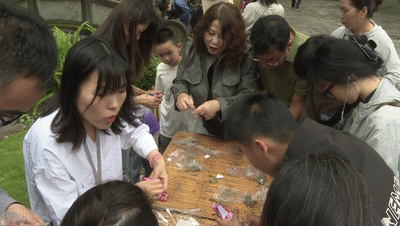 tacontent冰球突破豪华版e(图13)